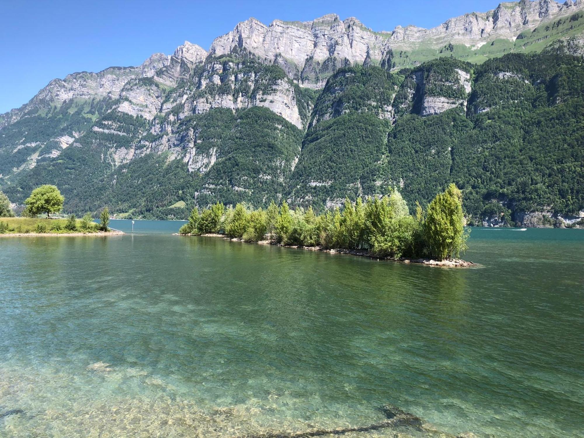 Doodle's Luxury Chalet -Walensee - Flumserberg - Churfirsten - Heidiland - Pool - Sauna Mols Exterior foto